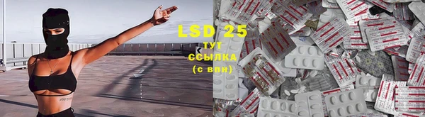 a pvp Богородицк
