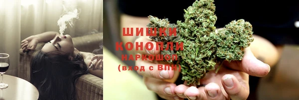дживик Белокуриха