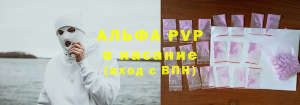 дживик Белокуриха