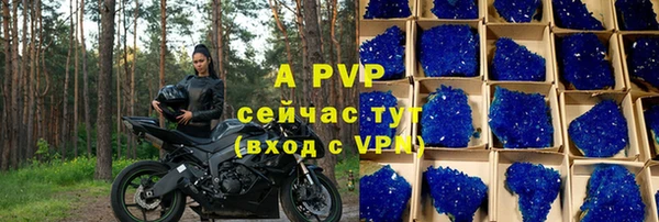 стаф Беломорск